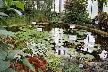 2 Hours Guided Prague Behind The Iron Curtain Communism Tour