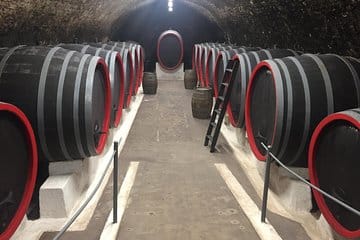 Private Kutna Hora luxury day trip from Prague with Czech castle