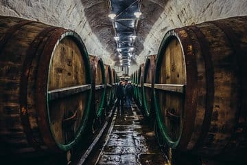 From Prague : Bohemian Gastronomic Journey all Inclusive